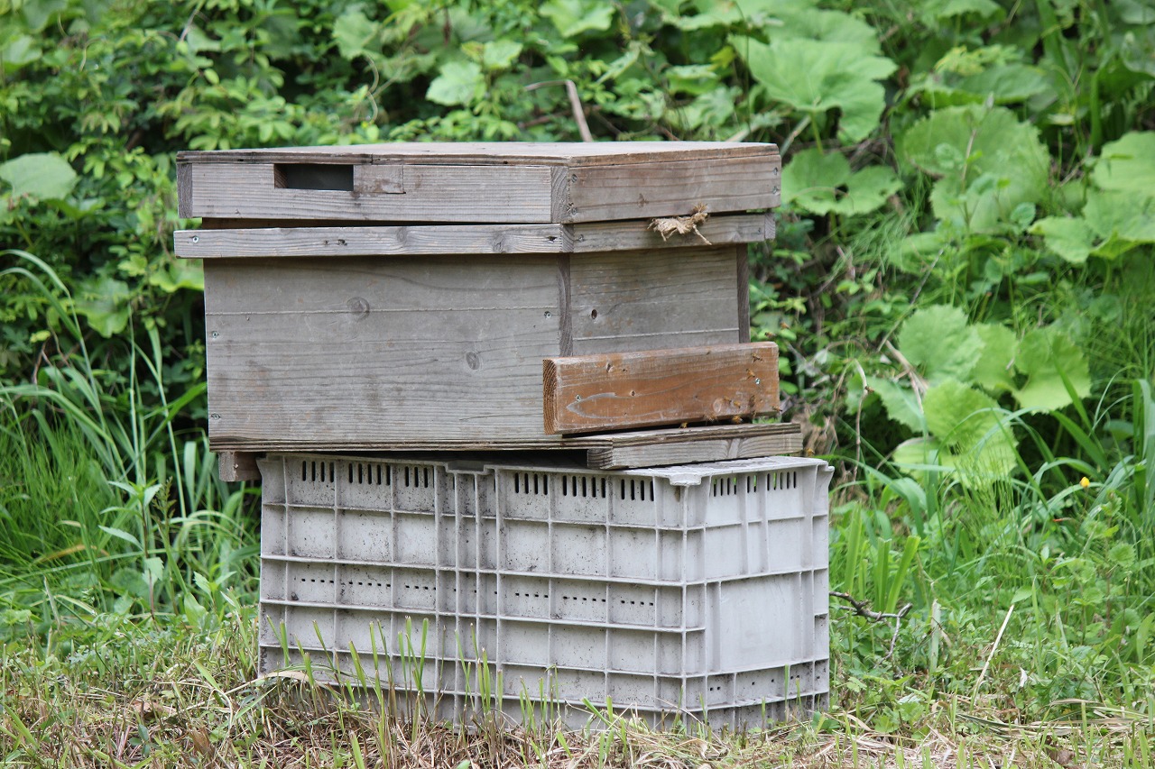 洋蜂用巣箱