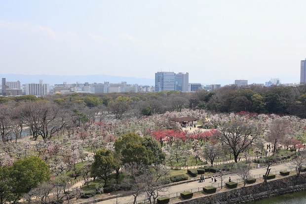 大阪城公園　梅園