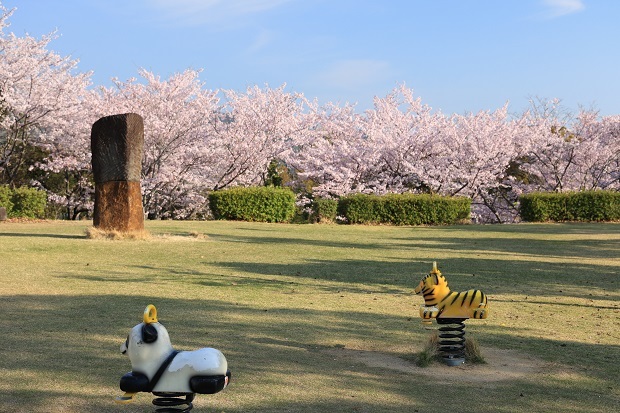 とらまる公園　桜　2023