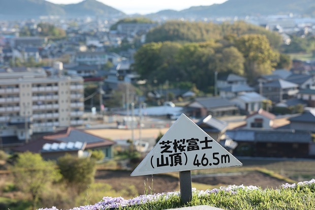 芝桜富士　東かがわ　2023