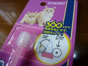 猫用歯ブラシ