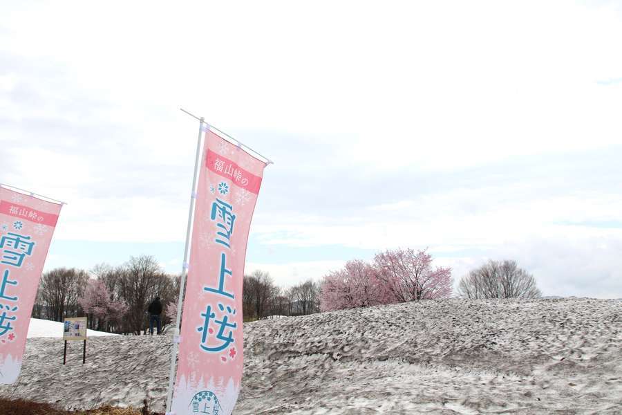 福山峠丁字路に立つ雪上桜の幟旗