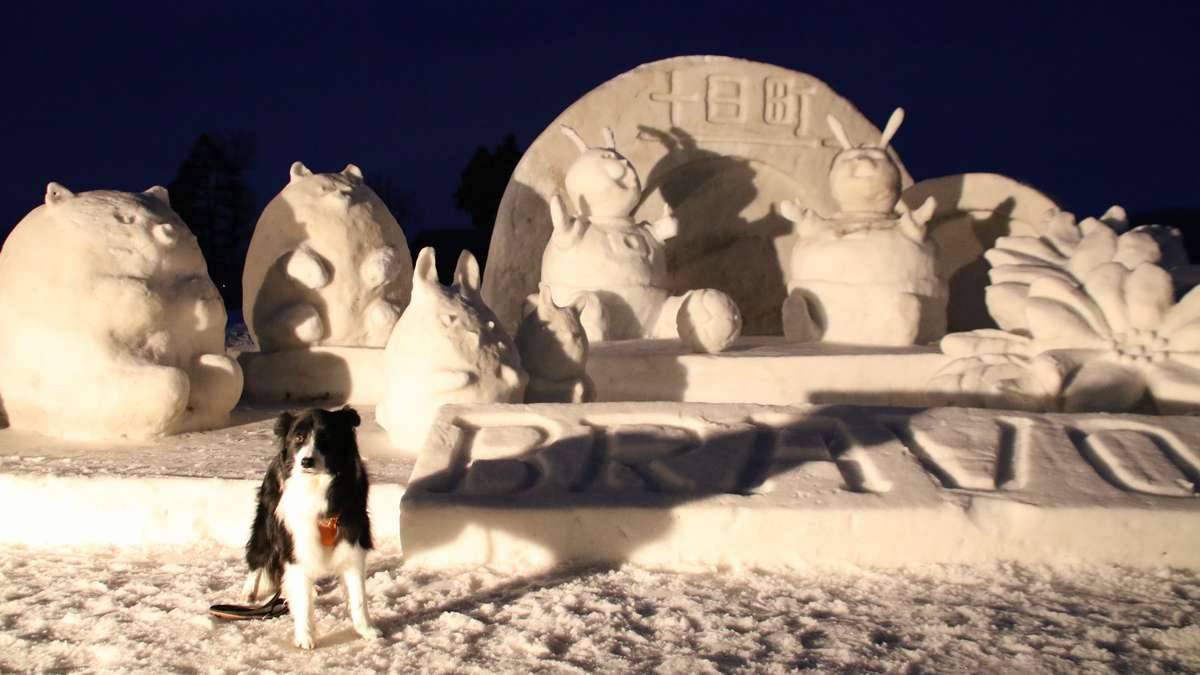 3年ぶりに開催された第74回十日町雪まつりで「雪の芸術作品」を巡ってみた(後編)｜十日町市