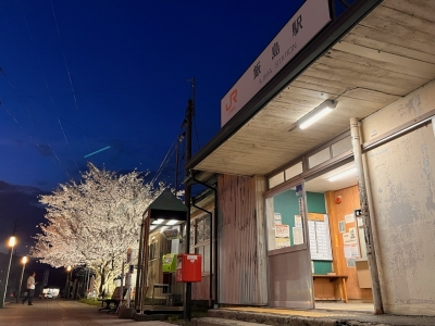 飯島駅　桜